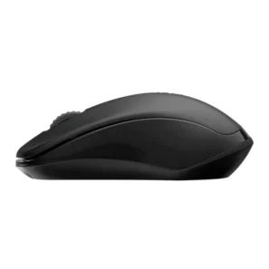 Rapoo 1620 Wireless Mouse